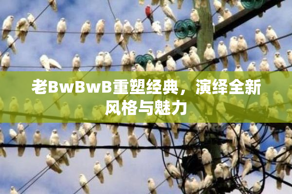 老BwBwB重塑经典，演绎全新风格与魅力