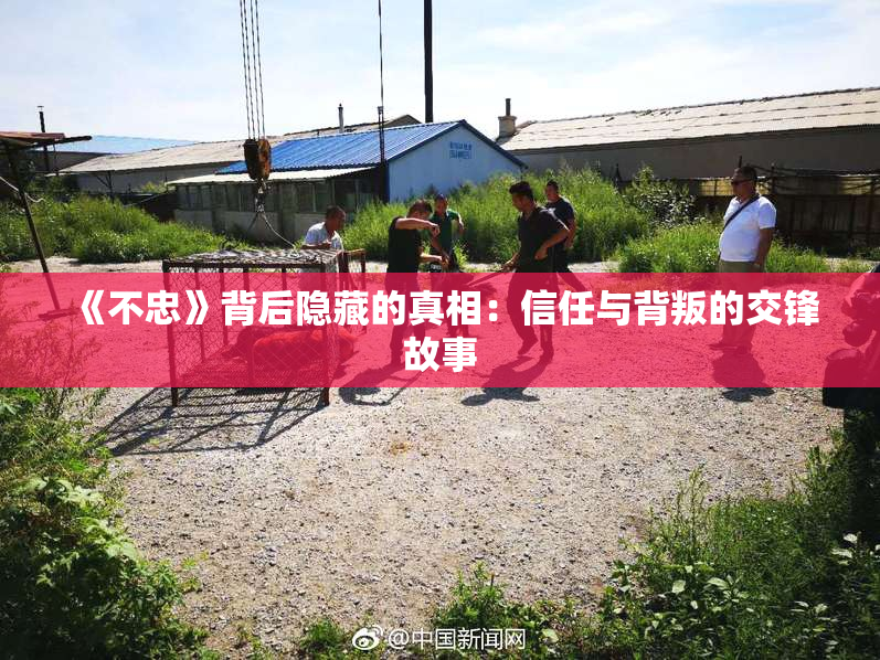 《不忠》背后隐藏的真相：信任与背叛的交锋故事