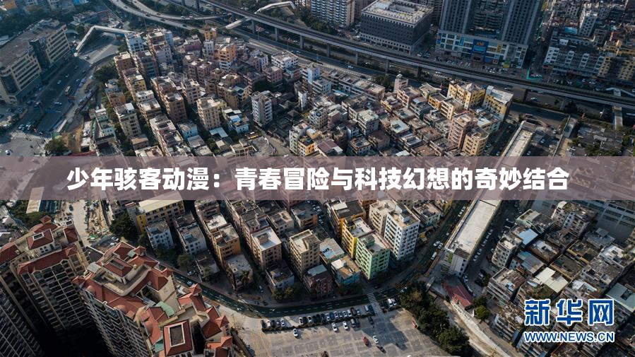 少年骇客动漫：青春冒险与科技幻想的奇妙结合