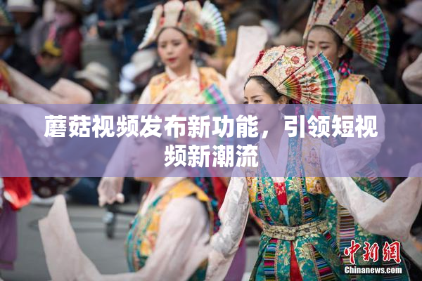 蘑菇视频发布新功能，引领短视频新潮流