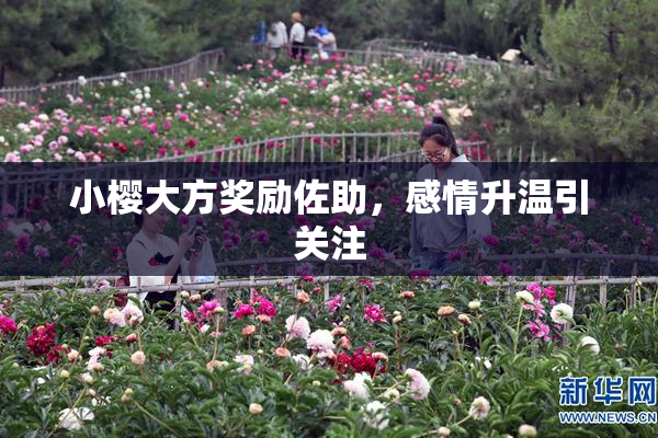 小樱大方奖励佐助，感情升温引关注