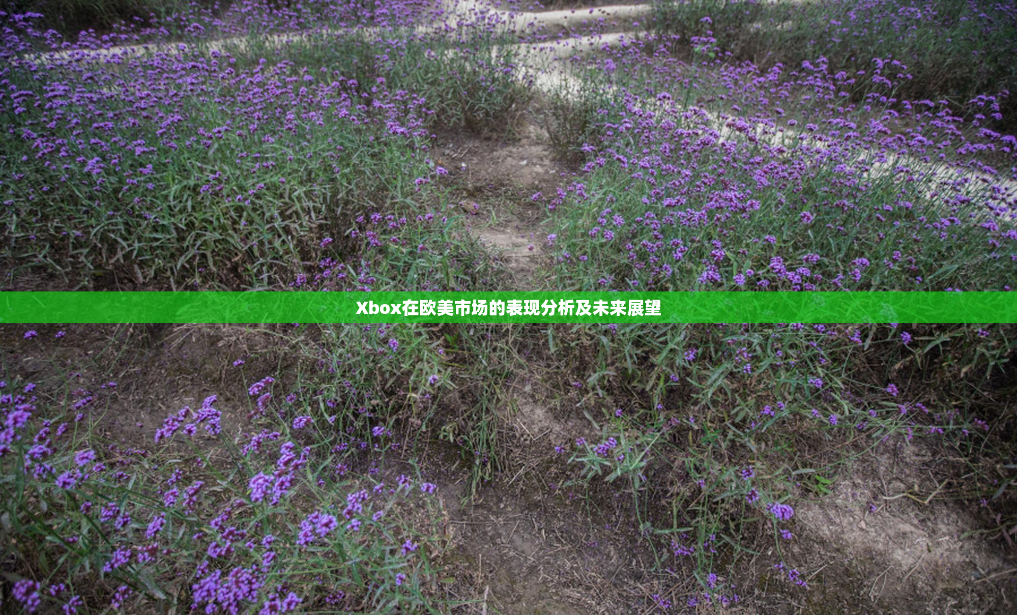 Xbox在欧美市场的表现分析及未来展望