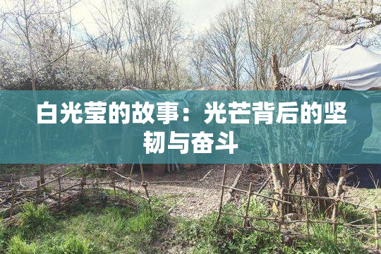 白光莹的故事：光芒背后的坚韧与奋斗