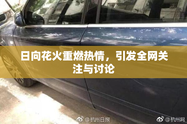 日向花火重燃热情，引发全网关注与讨论