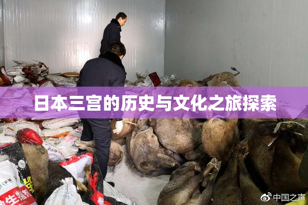 日本三宫的历史与文化之旅探索