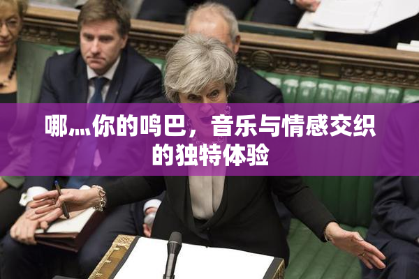 哪灬你的鸣巴，音乐与情感交织的独特体验