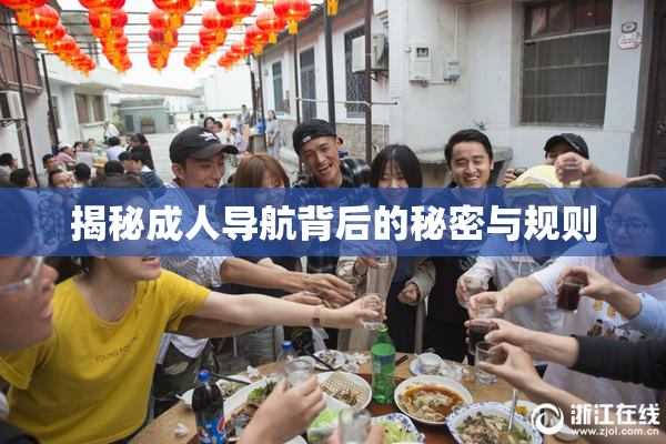 揭秘成人导航背后的秘密与规则