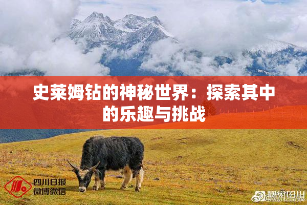 史莱姆钻的神秘世界：探索其中的乐趣与挑战