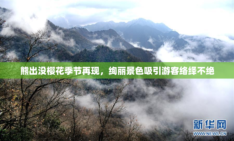 熊出没樱花季节再现，绚丽景色吸引游客络绎不绝