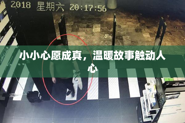 小小心愿成真，温暖故事触动人心