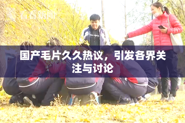 国产毛片久久热议，引发各界关注与讨论