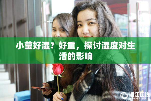 小莹好湿？好重，探讨湿度对生活的影响