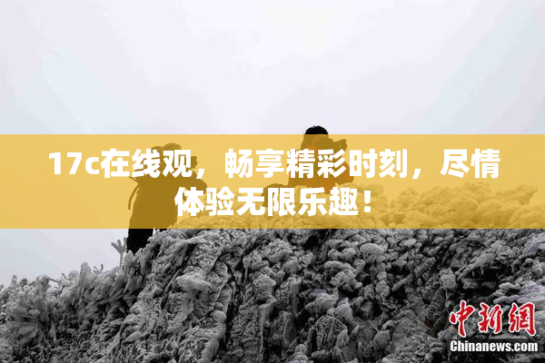 17c在线观，畅享精彩时刻，尽情体验无限乐趣！