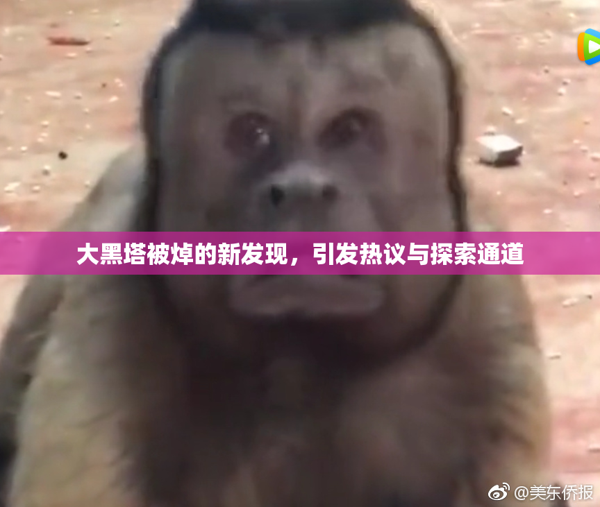 大黑塔被焯的新发现，引发热议与探索通道