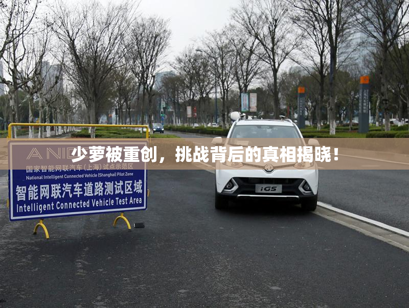 少萝被重创，挑战背后的真相揭晓！