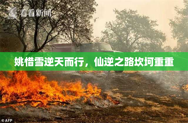 姚惜雪逆天而行，仙逆之路坎坷重重