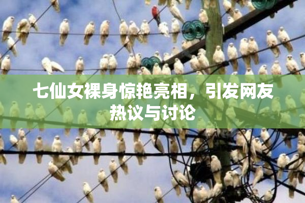 七仙女裸身惊艳亮相，引发网友热议与讨论