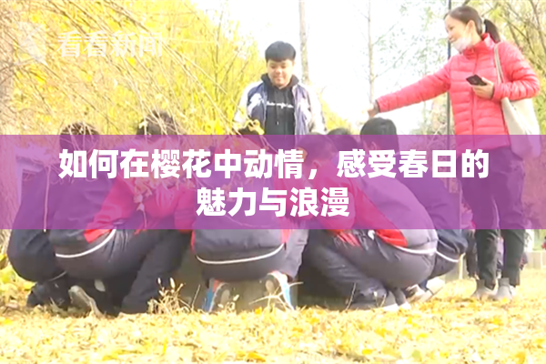 如何在樱花中动情，感受春日的魅力与浪漫