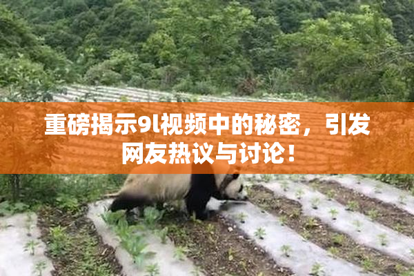 重磅揭示9l视频中的秘密，引发网友热议与讨论！