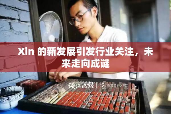Xin 的新发展引发行业关注，未来走向成谜