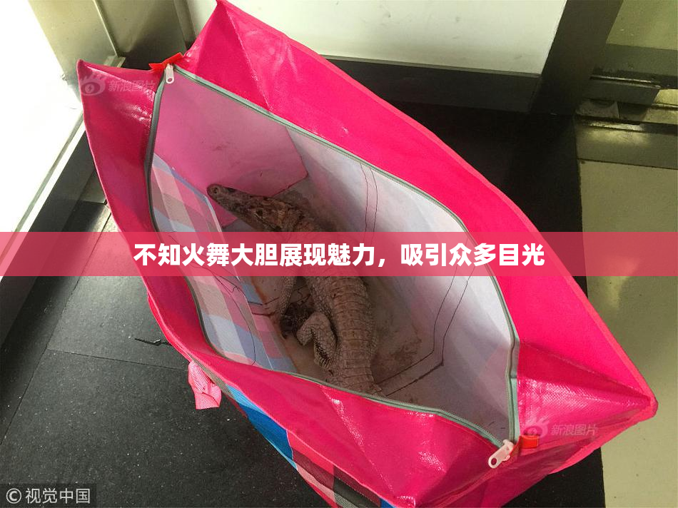 不知火舞大胆展现魅力，吸引众多目光