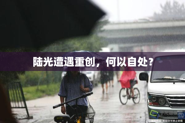 陆光遭遇重创，何以自处？