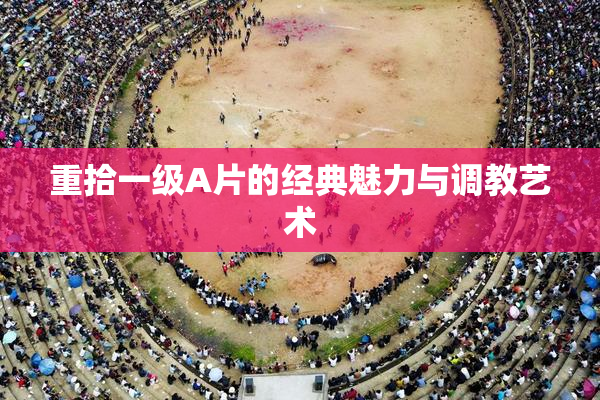 重拾一级A片的经典魅力与调教艺术