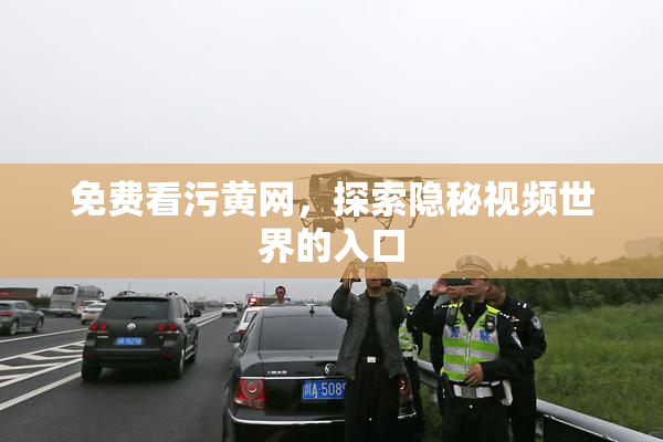 免费看污黄网，探索隐秘视频世界的入口