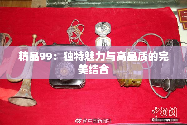 精品99：独特魅力与高品质的完美结合