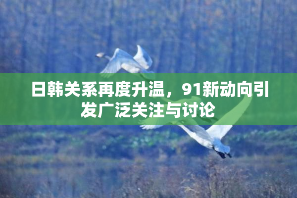 日韩关系再度升温，91新动向引发广泛关注与讨论