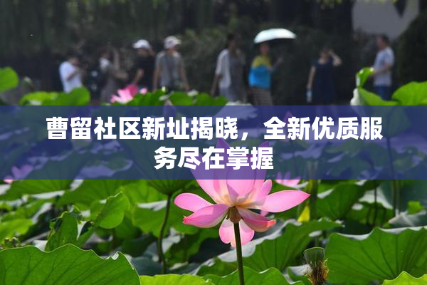 曹留社区新址揭晓，全新优质服务尽在掌握