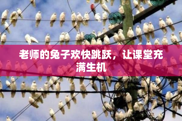 老师的兔子欢快跳跃，让课堂充满生机
