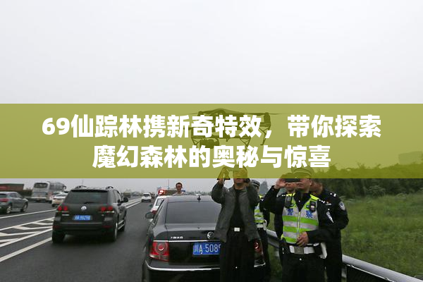 69仙踪林携新奇特效，带你探索魔幻森林的奥秘与惊喜