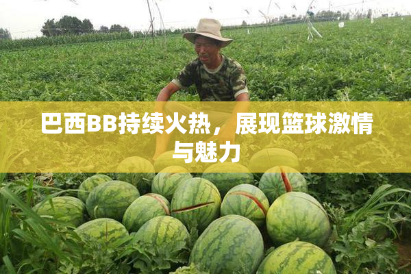 巴西BB持续火热，展现篮球激情与魅力