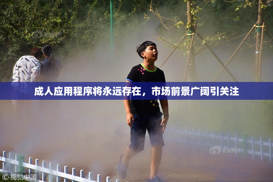 成人应用程序将永远存在，市场前景广阔引关注