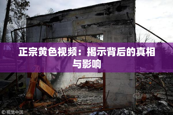 正宗黄色视频：揭示背后的真相与影响