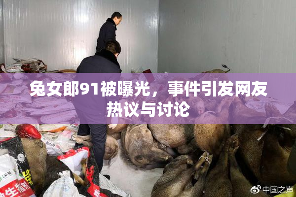兔女郎91被曝光，事件引发网友热议与讨论