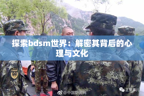 探索bdsm世界：解密其背后的心理与文化