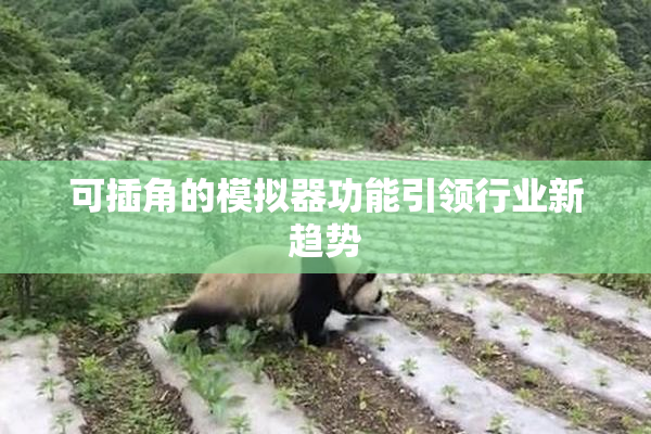 可插角的模拟器功能引领行业新趋势