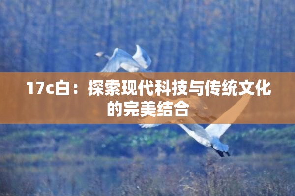 17c白：探索现代科技与传统文化的完美结合