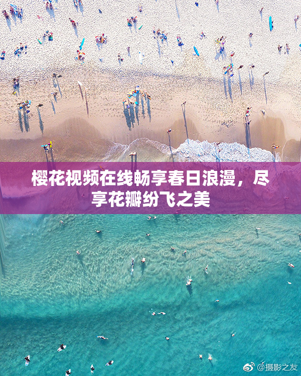樱花视频在线畅享春日浪漫，尽享花瓣纷飞之美