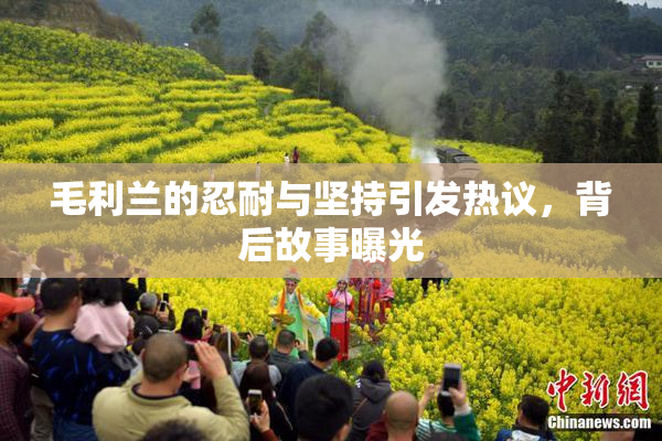 毛利兰的忍耐与坚持引发热议，背后故事曝光