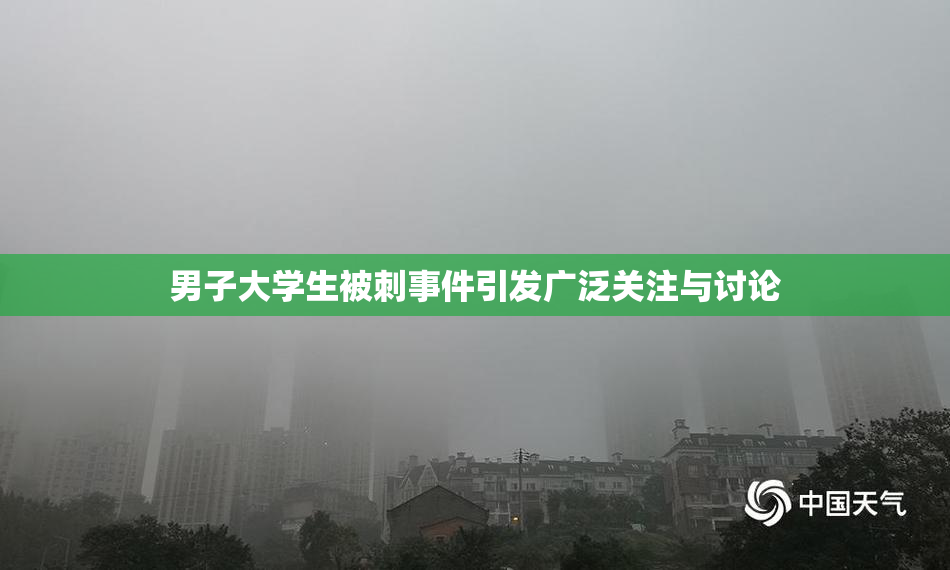 男子大学生被刺事件引发广泛关注与讨论