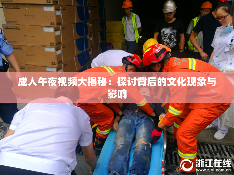 成人午夜视频大揭秘：探讨背后的文化现象与影响