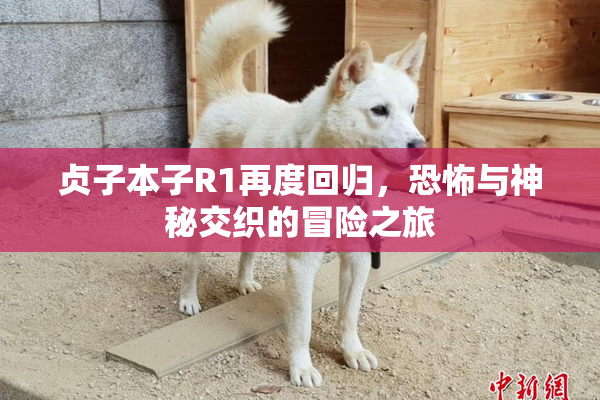 贞子本子R1再度回归，恐怖与神秘交织的冒险之旅