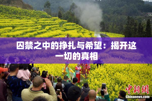 囚禁之中的挣扎与希望：揭开这一切的真相