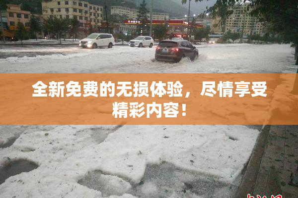 全新免费的无损体验，尽情享受精彩内容！