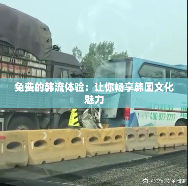 免费的韩流体验：让你畅享韩国文化魅力