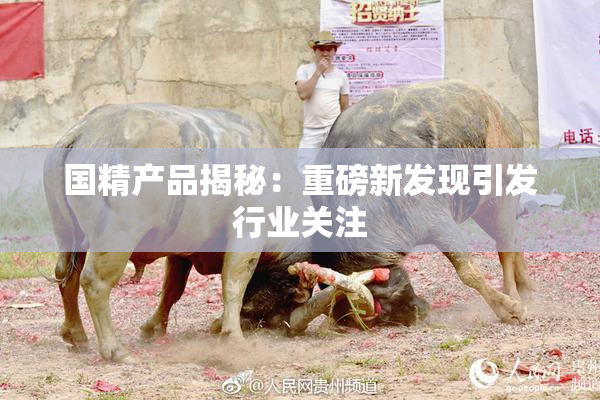 国精产品揭秘：重磅新发现引发行业关注