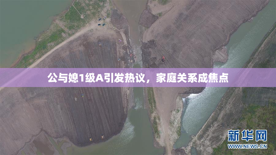 公与媳1级A引发热议，家庭关系成焦点